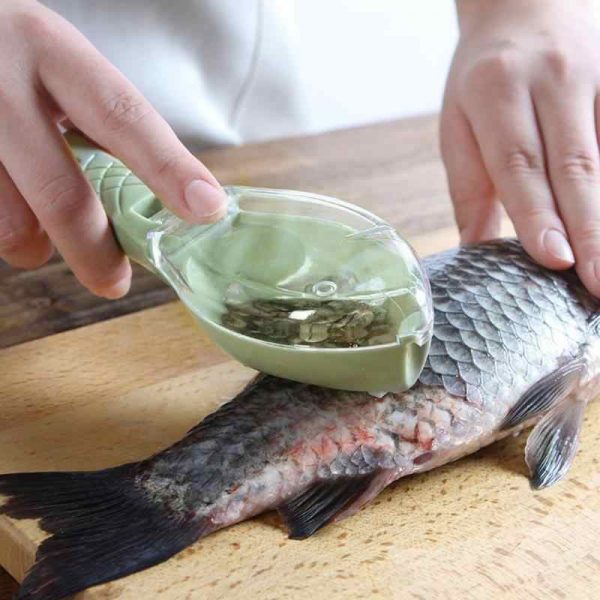 Fish scale remover – Odstranjevalec ribjih lusk