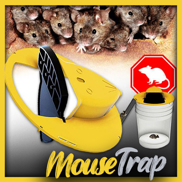 Mousetrap – Miškolovka past za miši in podgane