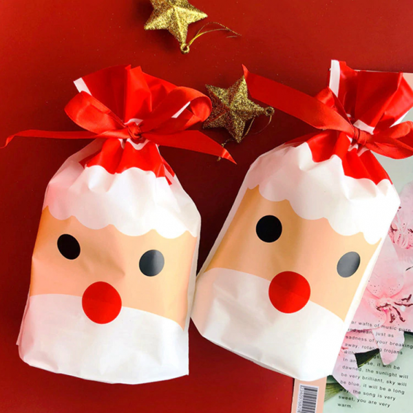 CHRISTMAS BAGS – Božične darilne vrečkice (5 kosov) 03