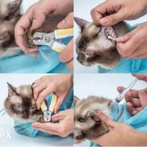 Cat grooming bag – Vreča za nego mačk 03