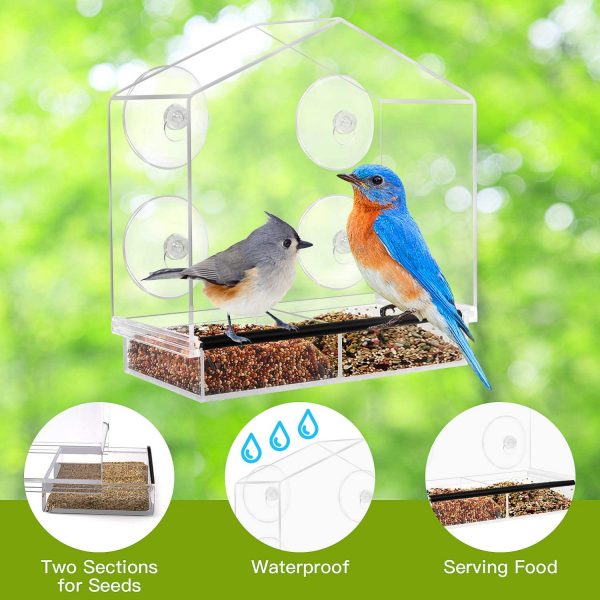 Birdbox – Prozorna ptičja hišica