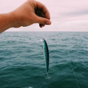 3D Fish Bait – Vaba z vrtljivim repom in realističnim izgledom (1+1 GRATIS) 03