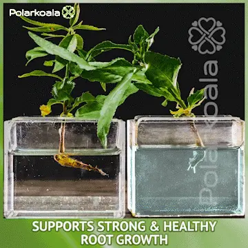 Planttpro – Tekoče gnojilo za rastline 02
